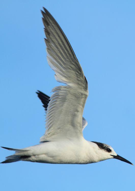 INTERIOR Y COSTA DEL DELTA A CAMBRILS