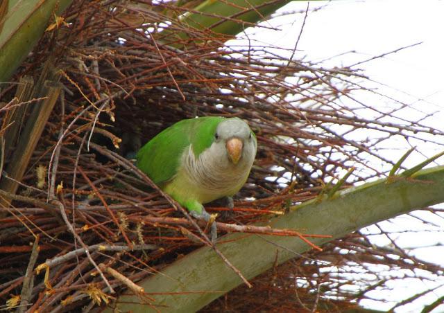 INTERIOR Y COSTA DEL DELTA A CAMBRILS