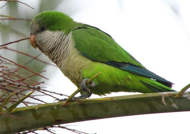 INTERIOR Y COSTA DEL DELTA A CAMBRILS