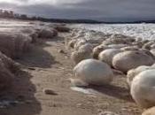 Grandes Bolas Hielo Colonizan Lago Michigan