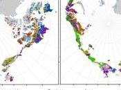 Ártico Cubrirá Bosques unas Décadas