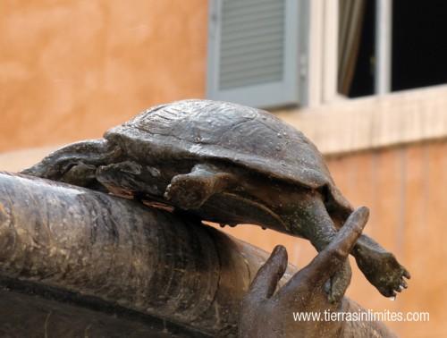 Yo tiré la moneda…