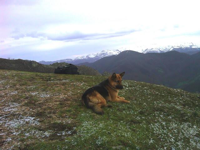 BUSCANDO LOBOS 2; EN LOS DOMINIOS DEL 