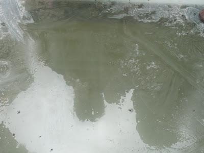 Día 2. Paseos cargados de historia por Berlín!!