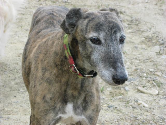 Bendita sea la primavera...