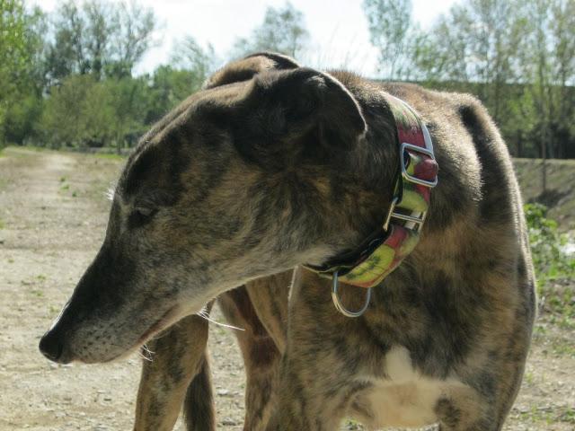 Bendita sea la primavera...