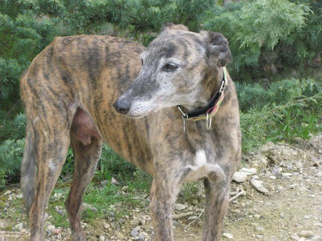 Bendita sea la primavera...