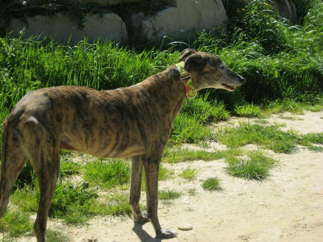 Bendita sea la primavera...