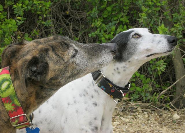 Bendita sea la primavera...