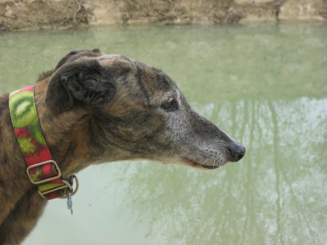 Bendita sea la primavera...