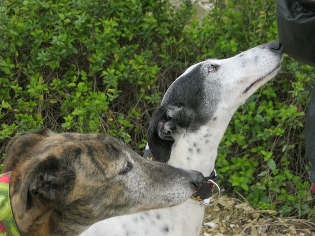 Bendita sea la primavera...