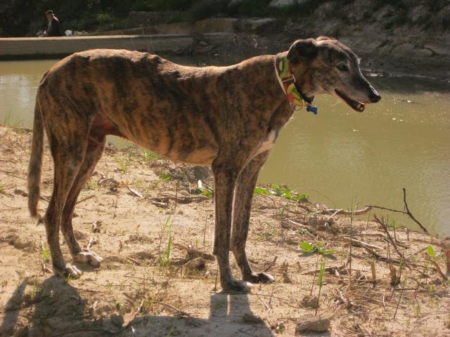 Bendita sea la primavera...