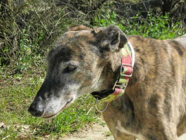 Bendita sea la primavera...