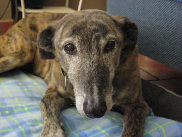 Bendita sea la primavera...