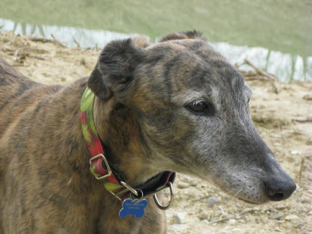 Bendita sea la primavera...