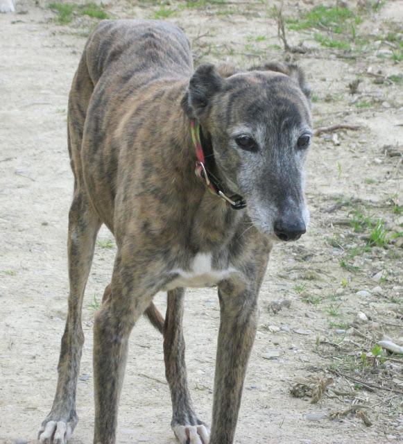 Bendita sea la primavera...