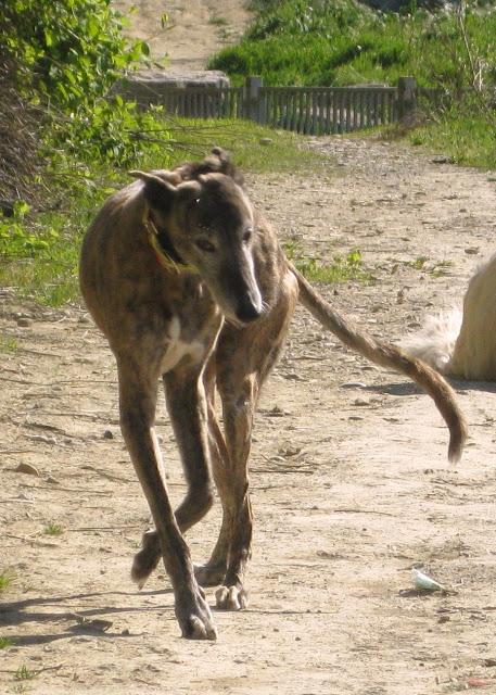Bendita sea la primavera...