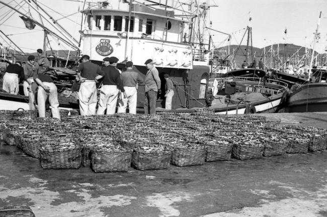 La pesca abundante:Récord mundial de subasta de pescado en Santoña