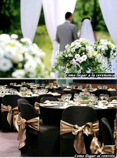 SMARTia, nuevas tecnologías para bodas