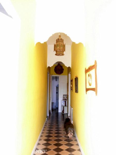 Hoy compartimos ... algo que creí perdido