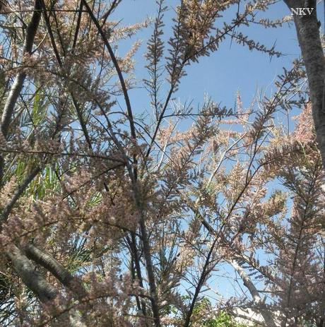 Hoy compartimos ... algo que creí perdido