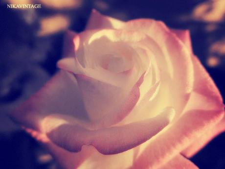 Hoy compartimos ... algo que creí perdido