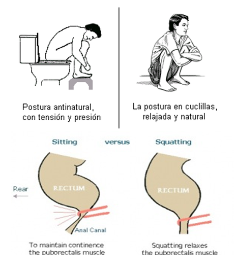 La importancia de defecar correctamente