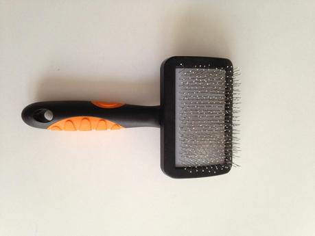 Cepillado diario de mi bichón maltés.