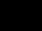 Erasmus gaditanus