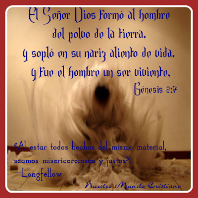 Artesanías de polvo