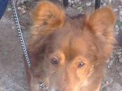 dueña fallecido calle.