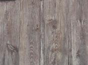 Siresa, paraíso pies Pirineos.