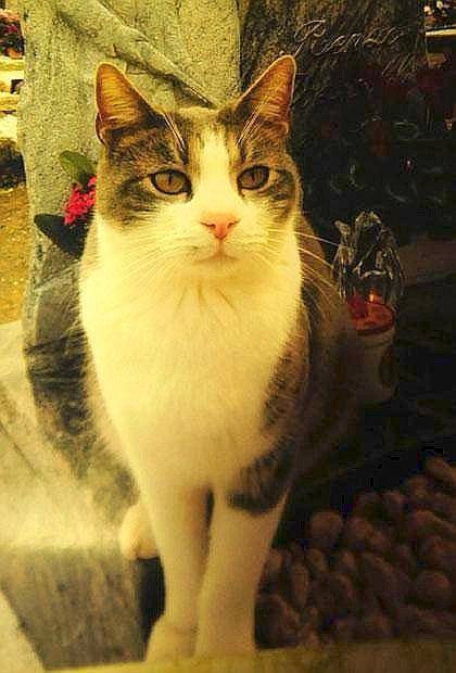 Recibí de un lector este email: