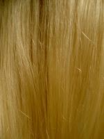 El Aceite de Sésamo, Un Aliado para tu Belleza