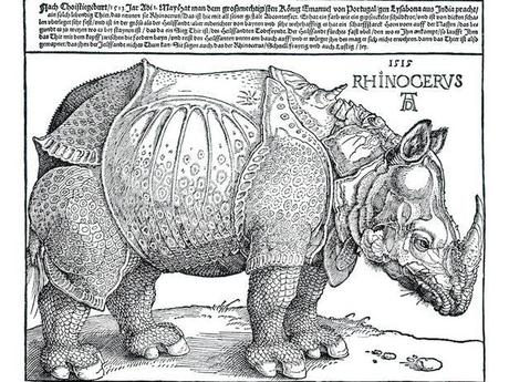 Rinoceronte de Durero rinoceronte indio, rhinocerus, ilustracion rinoceronte 1515