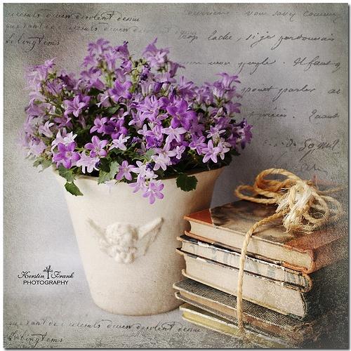 Libros y flores (o viceversa)