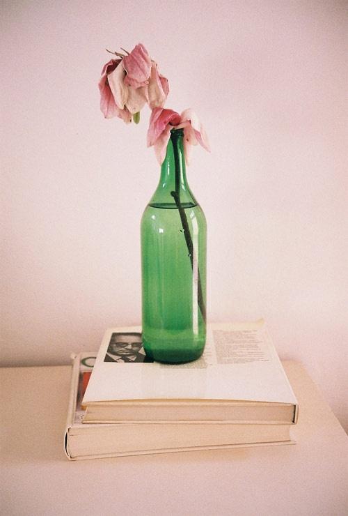 Libros y flores (o viceversa)