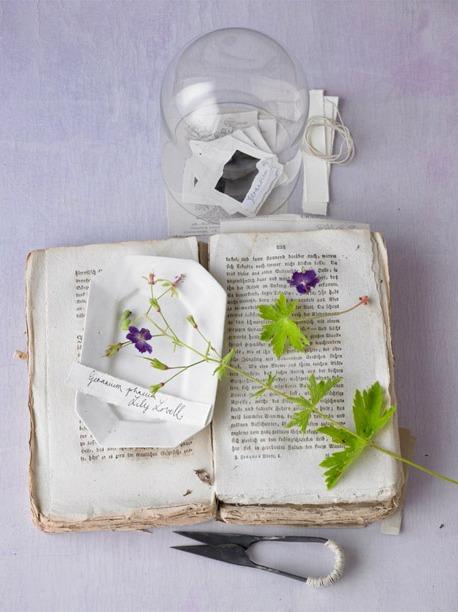 Libros y flores (o viceversa)