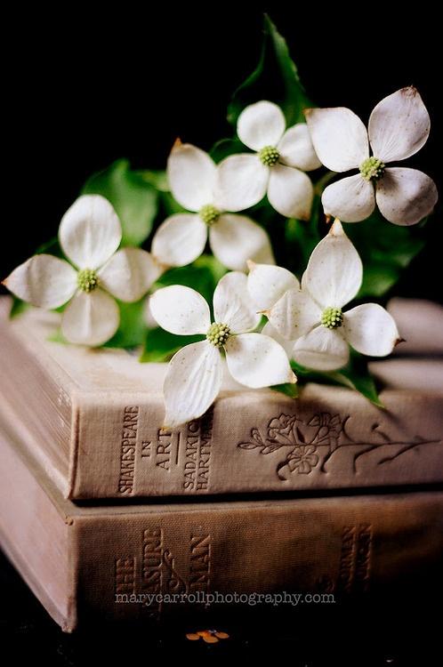 Libros y flores (o viceversa)