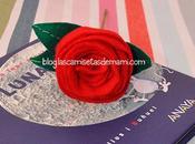 Celebrando libro rosa fieltro