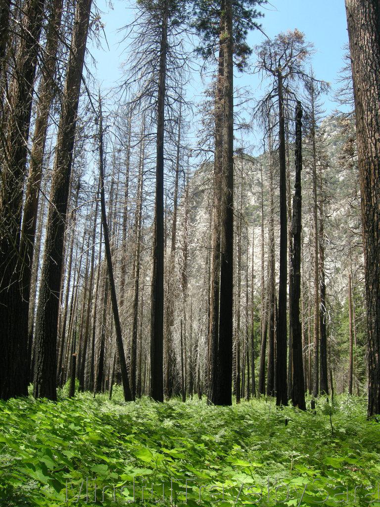 Los mejores paisajes de Yosemite