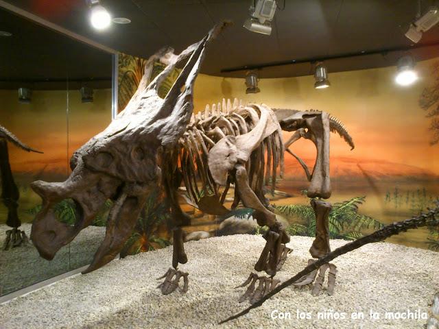 Noche en el MUPE... con descuento