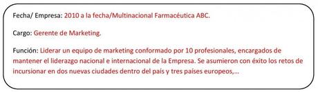 combinado-experiencia-profesional-003 combinado experiencia profesional 003 1024x297 Tipos de cv: Currículum vitae Combinado