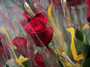 SANT JORDI, AMOR EN UNA ROSA Y UN LIBRO!!!