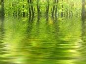 Relajación Meditación