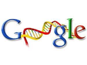 ADN en Google y las brechas de seguridad