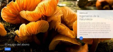 Ingenieros de la naturaleza :: web de Google con fotos de National Geographic