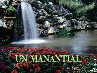 UN MANANTIAL UN MANANTIAL