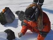 Descubren Enorme Meteorito Kilos Antártida