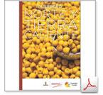 guerreroacapulco.com